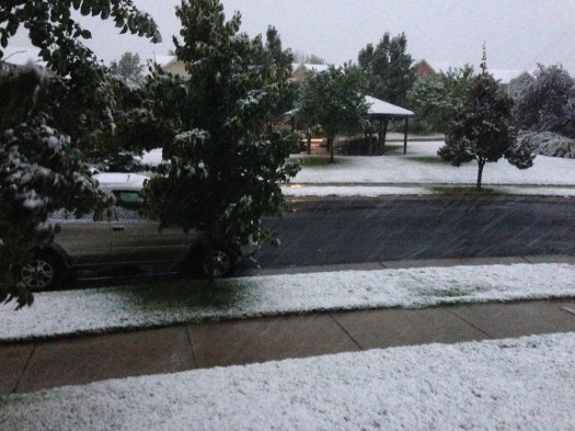 A nice October snow.