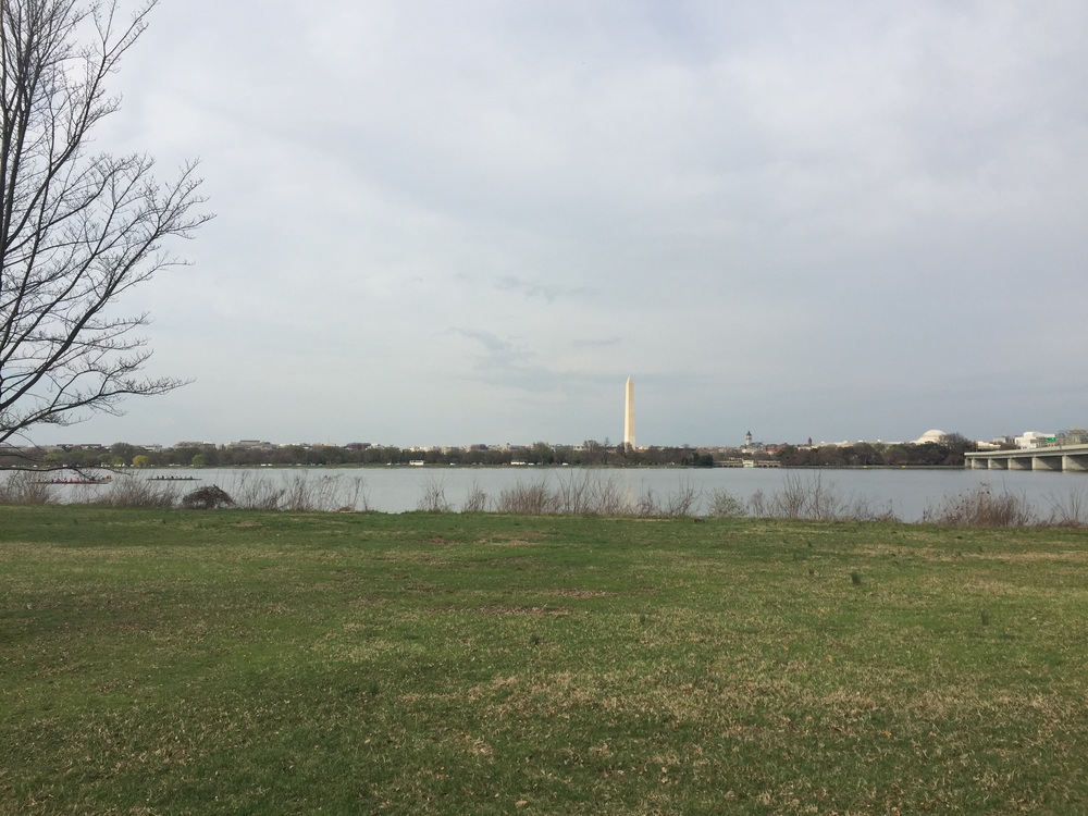 Looking back at Washington, DC