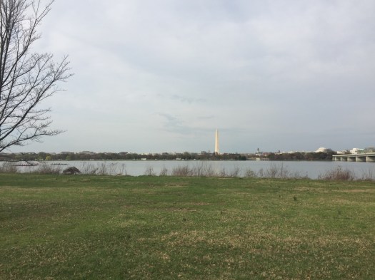 Looking back at Washington, DC