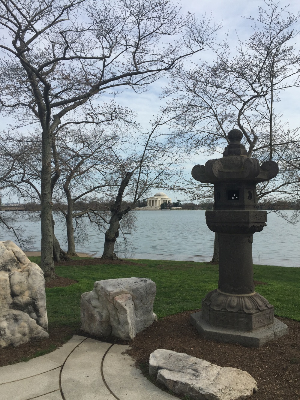 Dedication spot looking through the cherry trees towards the Jefferson Memorial.